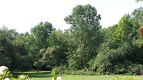 Matt's Yard