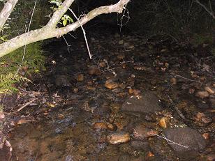 The Glen-Ella Springs Even Closer