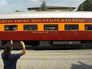 Excursion Train Southland Coach