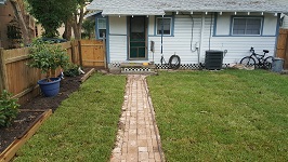 Backyard Now Sporting Sod!
