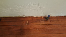 Kitchen Flooring Stained And Finished