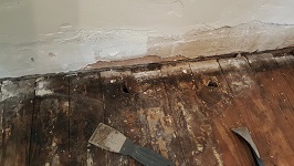 Kitchen Flooring One Of Thousands Of Holes Needing Plugged